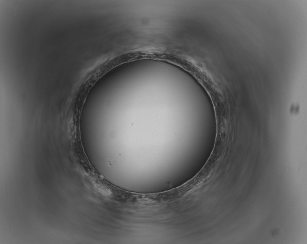 X0000093771398200711061123