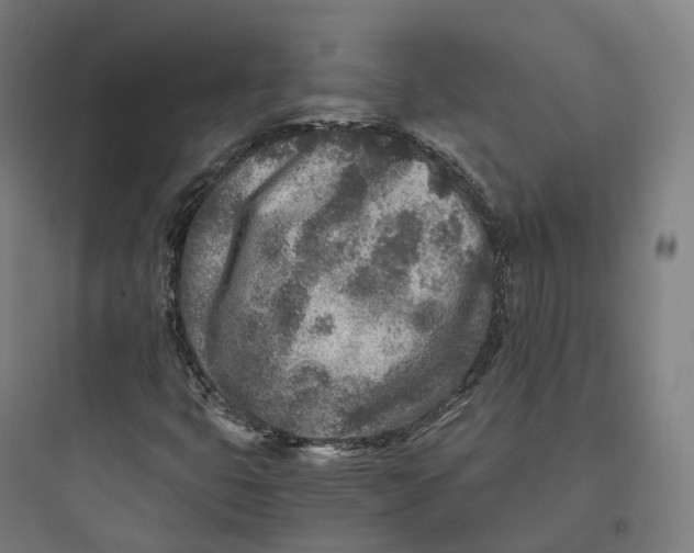 X0000093771399200711061123