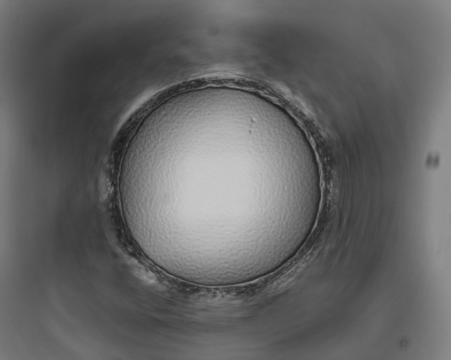 X0000093771400200711061123