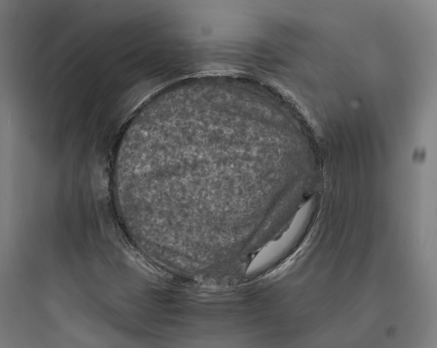 X0000093771401200711061123