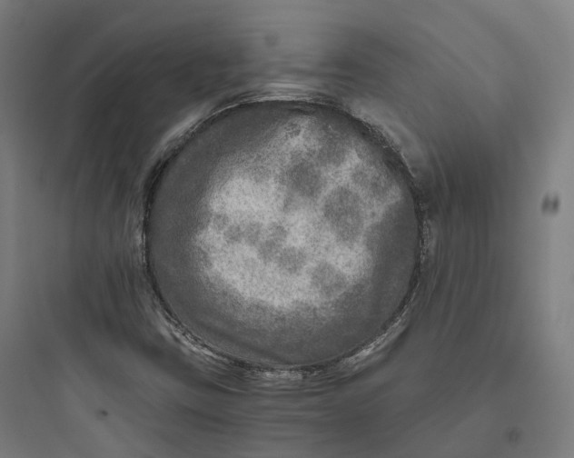 X0000093771403200711061123