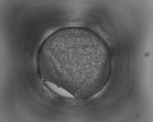 X0000093771405200711061123