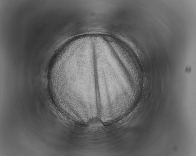 X0000093771407200711061123