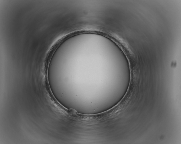 X0000093771408200711061123