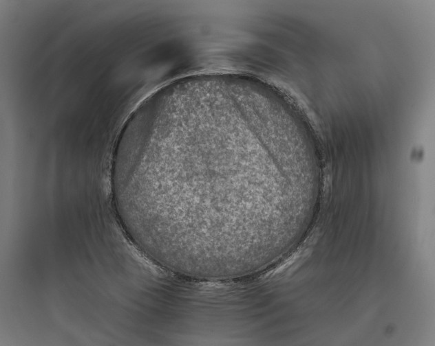 X0000093771409200711061123