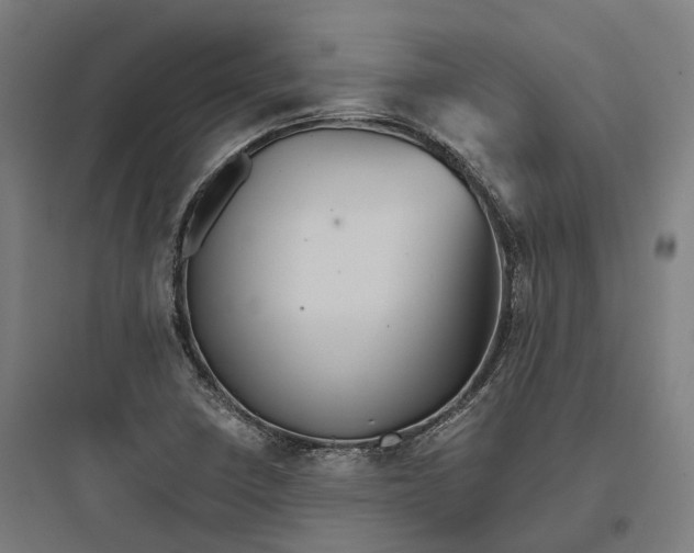 X0000093771410200711061123