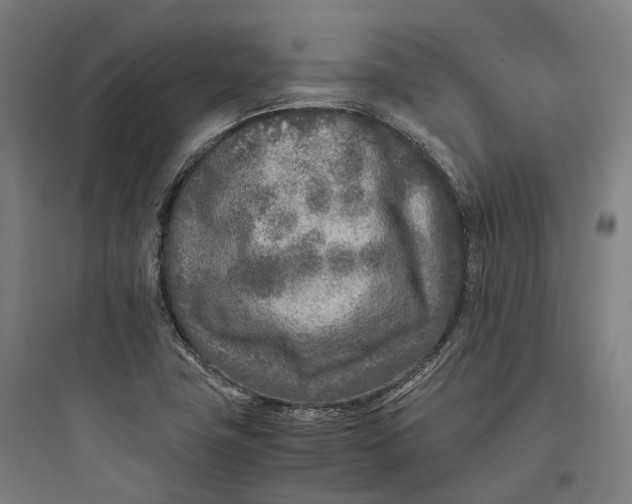 X0000093771411200711061123