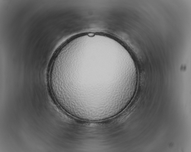 X0000093771412200711061123