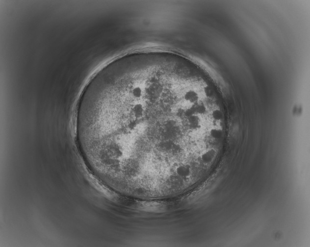 X0000093771413200711061123