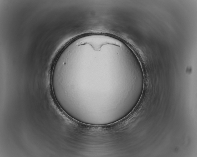 X0000093771416200711061123