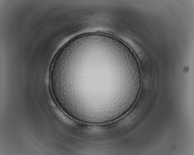 X0000093771420200711061123