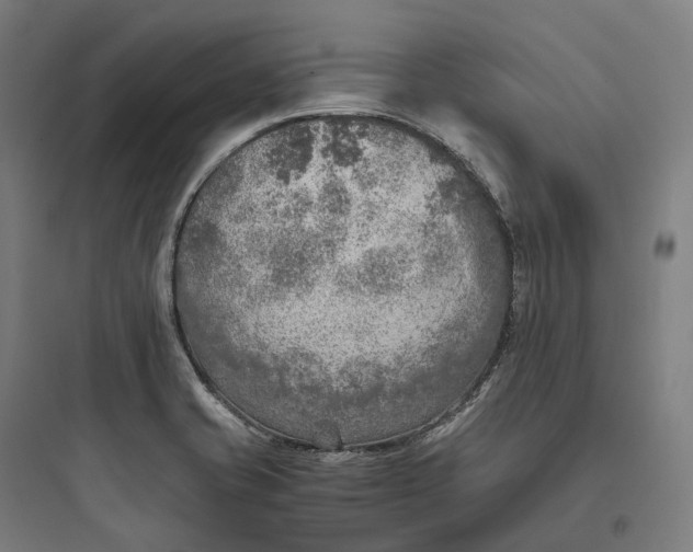 X0000093771421200711061123