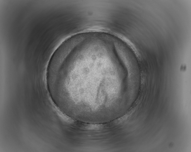 X0000093771423200711061123