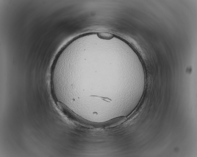 X0000093771424200711061124