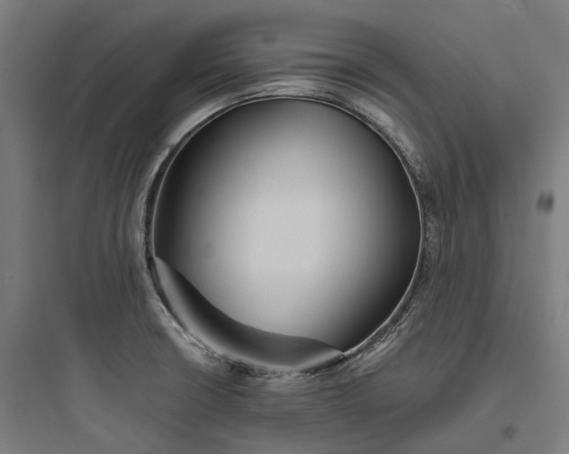 X0000093771426200711061124