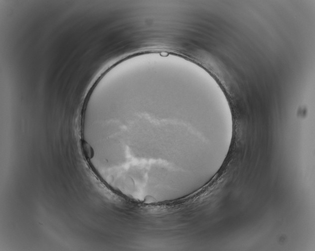 X0000093771428200711061124