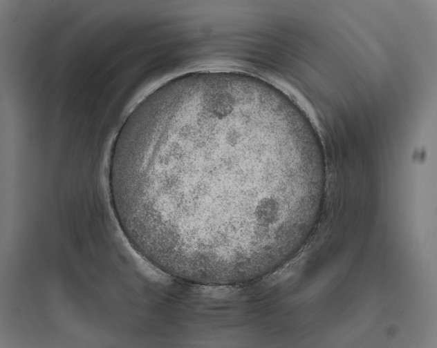 X0000093771429200711061124