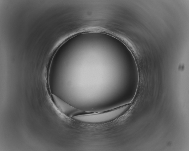 X0000093771430200711061124