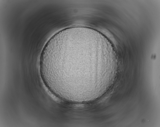 X0000093771431200711061124