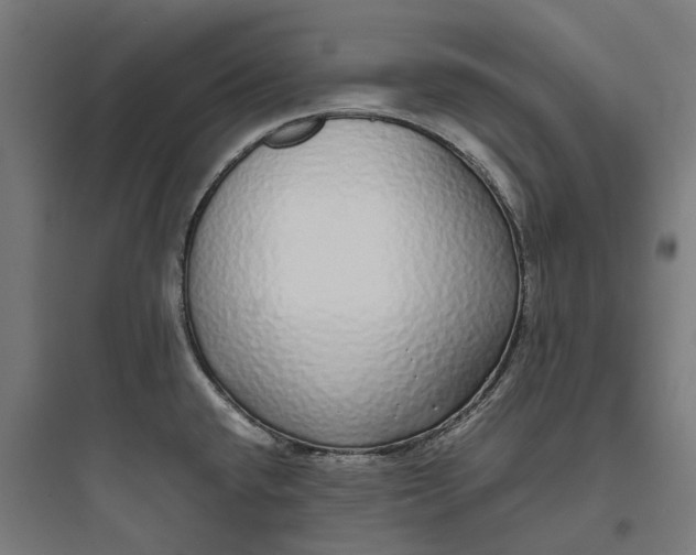 X0000093771432200711061124