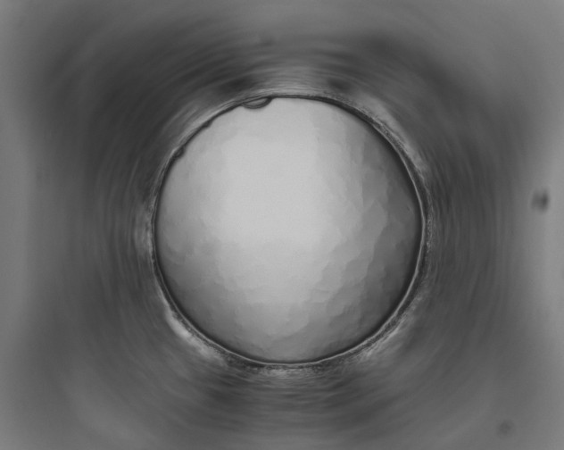 X0000093771433200711061124