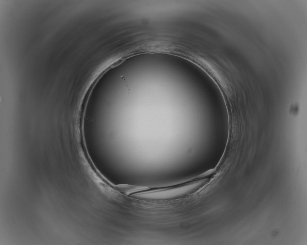 X0000093771434200711061124