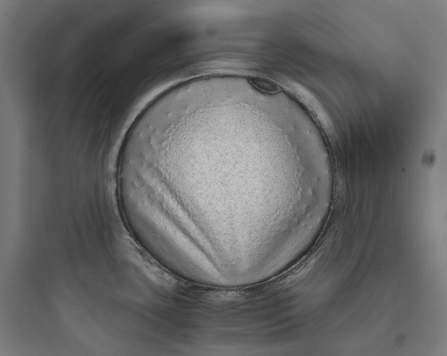 X0000093771435200711061124