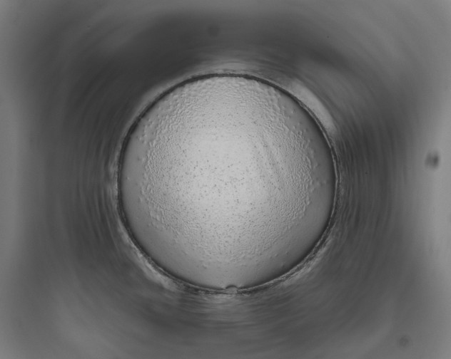 X0000093771436200711061124