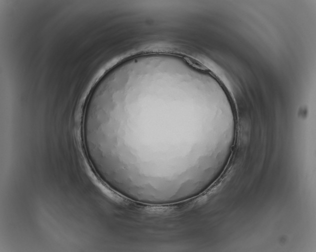 X0000093771437200711061124