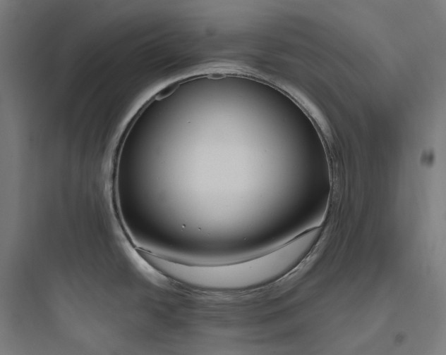 X0000093771438200711061124