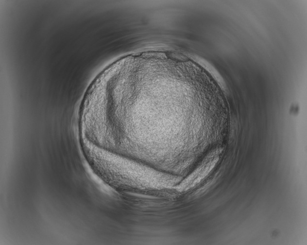 X0000093771439200711061124