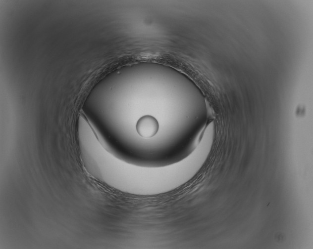 X0000093771441200711061123