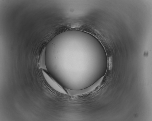 X0000093771443200711061123