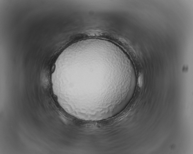 X0000093771444200711061123