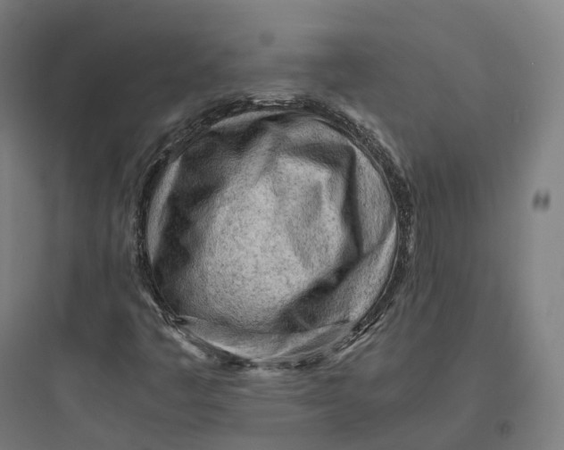 X0000093771445200711061123