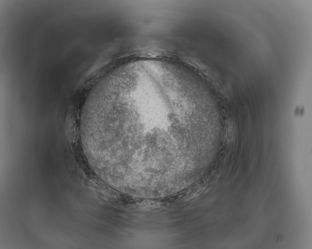 X0000093771446200711061123