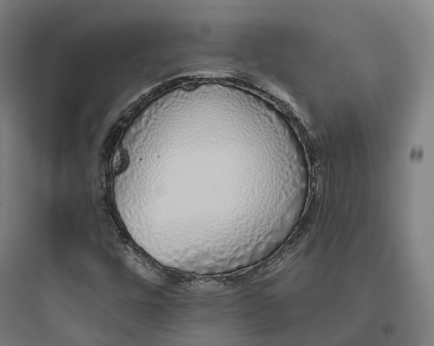 X0000093771448200711061123