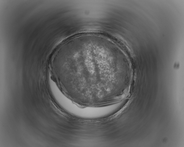 X0000093771449200711061123