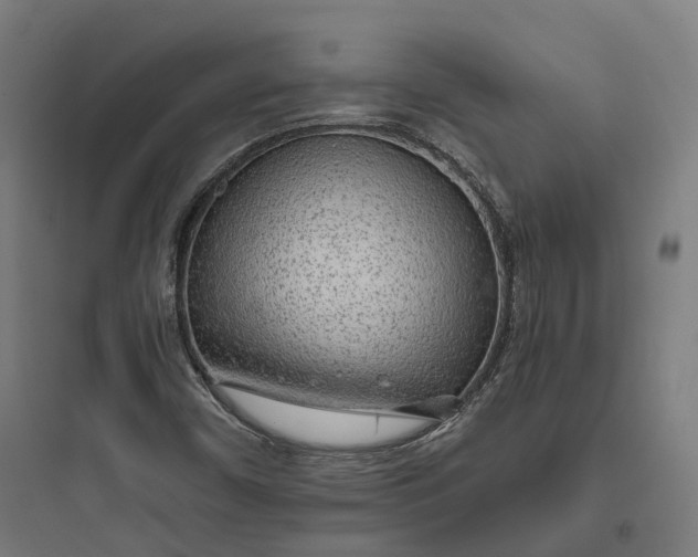 X0000093771450200711061123