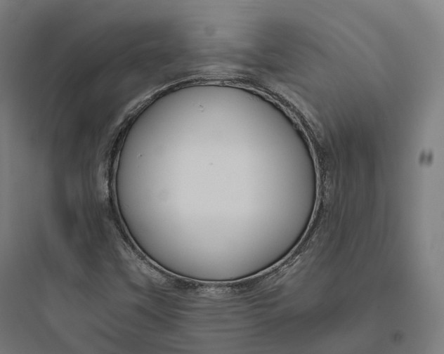 X0000093771451200711061123