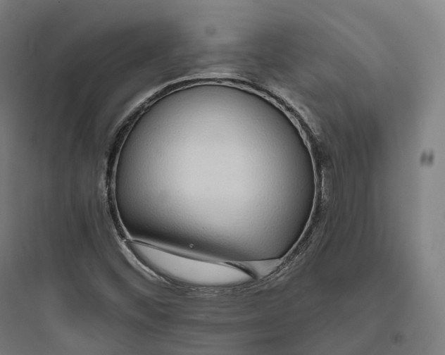 X0000093771452200711061123