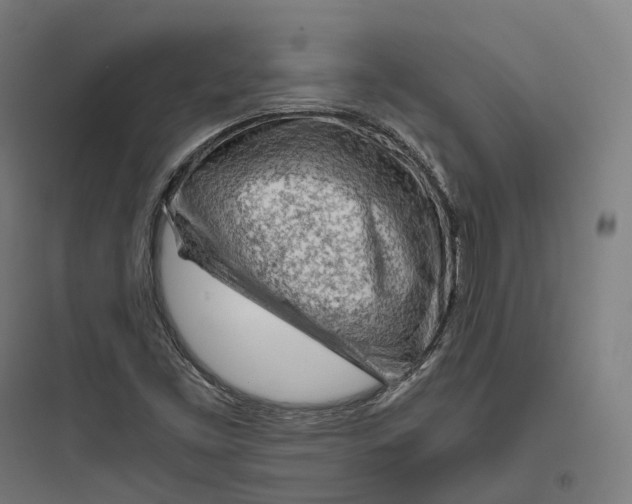 X0000093771453200711061123