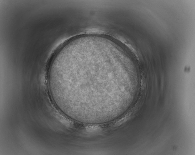 X0000093771454200711061123