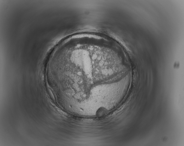 X0000093771455200711061123