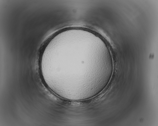 X0000093771456200711061123