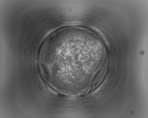 X0000093771457200711061123