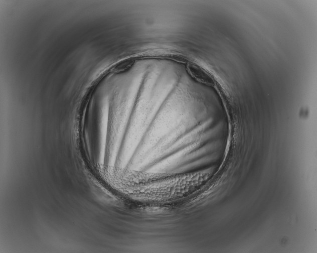 X0000093771459200711061123