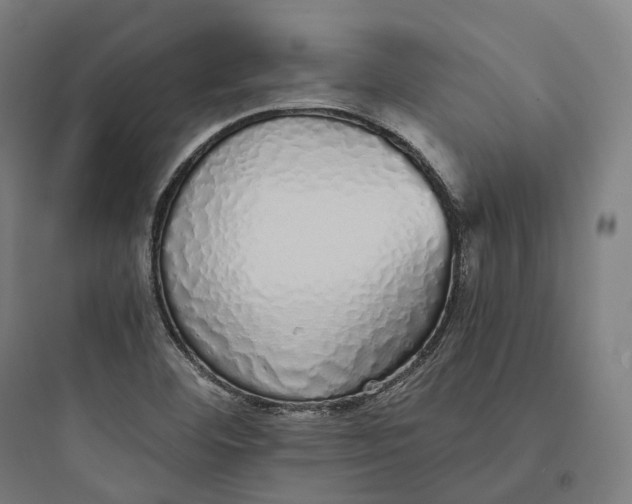 X0000093771460200711061123