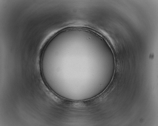 X0000093771464200711061123