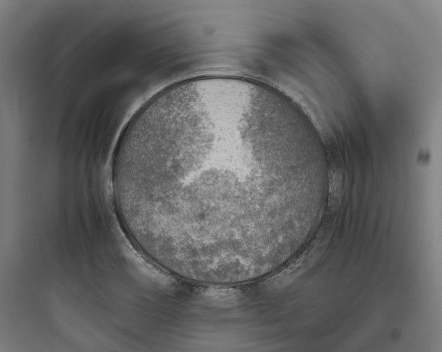 X0000093771466200711061123